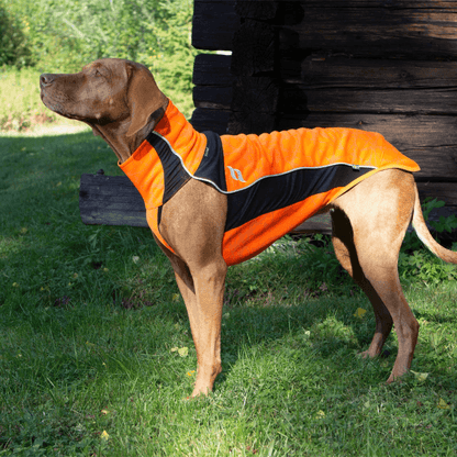 Back on Track - Eddie Hundtröja High Vis Orange (Hundtröjor) från Back on Track. | TacNGear - Utrustning för polis och militär och outdoor.