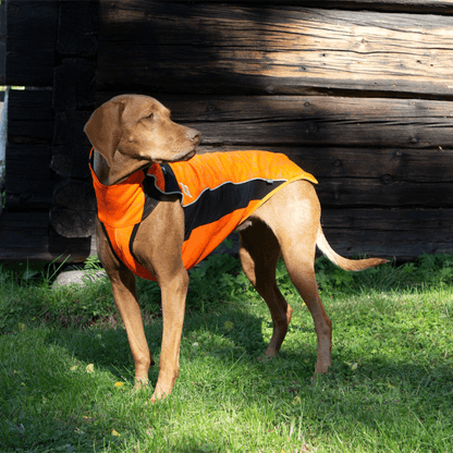 Back on Track - Eddie Hundtröja High Vis Orange (Hundtröjor) från Back on Track. | TacNGear - Utrustning för polis och militär och outdoor.
