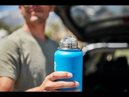 Hydro Flask Standard Mouth Flex 21 oz / 0.6 liter